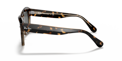Havana On Transparent Brown - 0RB2186 8056597177627