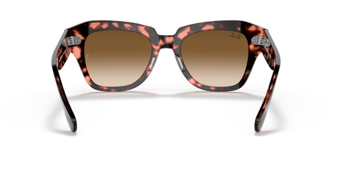 Pink Havana - 0RB2186 8056597559904