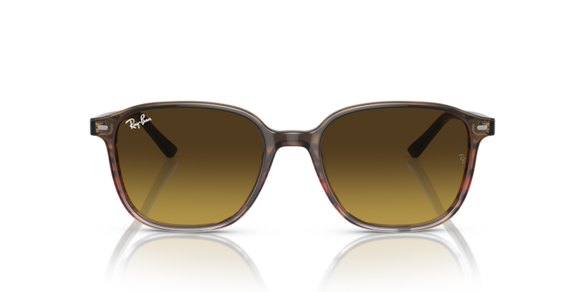 Striped Brown & Red - 0RB2193 8056597855938