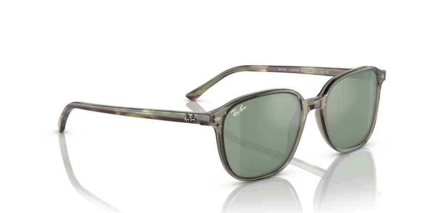 Transparent Green - 0RB2193 8056597748438 Ray-Ban Sunglasses Unisex Square