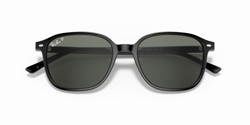 Black - 0RB2193 8056597318020
