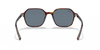 0RB2194