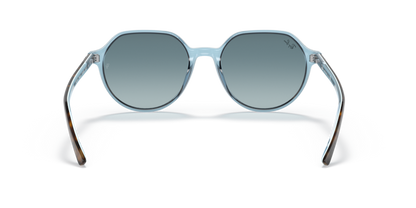 Havana On Light Blue - 0RB2195 8056597431484