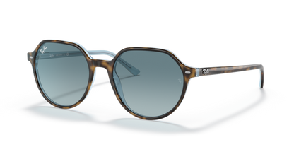 Havana On Light Blue - 0RB2195 8056597431484