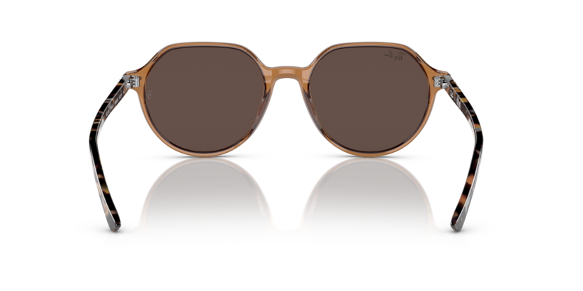 Transparent Brown - 0RB2195 8056597759229 Ray-Ban Sunglasses Unisex Square