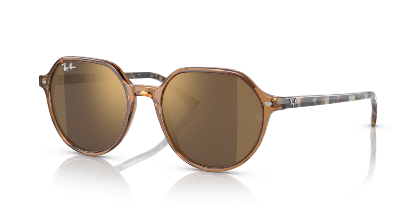 Transparent Brown - 0RB2195 8056597759229 Ray-Ban Sunglasses Unisex Square