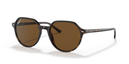 Havana (902/57) - B-15 Brown Polarized 8056597431491