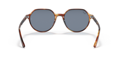 Striped Havana - 0RB2195 8056597364058