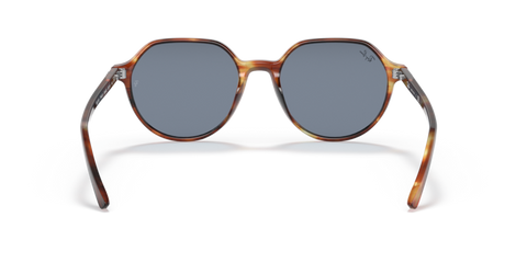 Striped Havana - 0RB2195 8056597364058