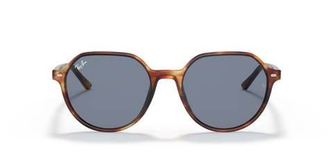Striped Havana - 0RB2195 8056597364058