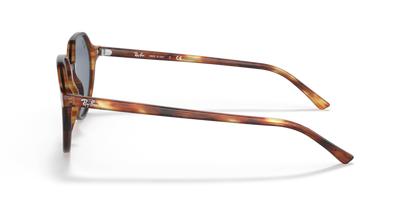 Striped Havana - 0RB2195 8056597364058