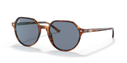 Striped Havana - 0RB2195 8056597364058