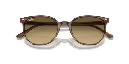 Striped Brown & Green - 0RB2197 8056597949583