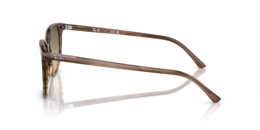 Striped Brown & Green - 0RB2197 8056597949583