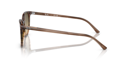 Striped Brown & Green - 0RB2197 8056597949583