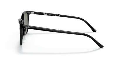 Black - 0RB2197 8056597431552
