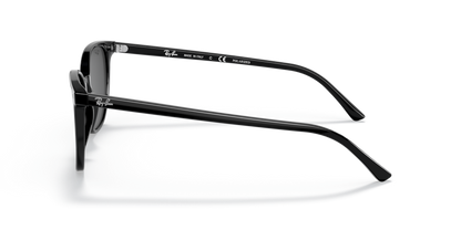 Black - 0RB2197 8056597625883