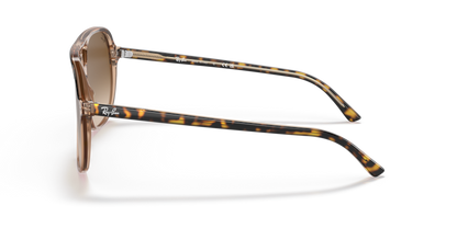 Havana On Transparent Brown - 0RB2198 8056597529679