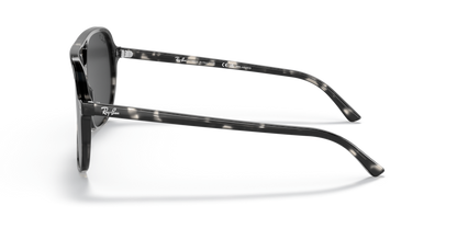 Grey Havana - 0RB2198 8056597559539