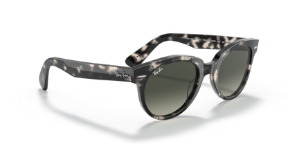 Grey Havana - 0RB2199 8056597461610