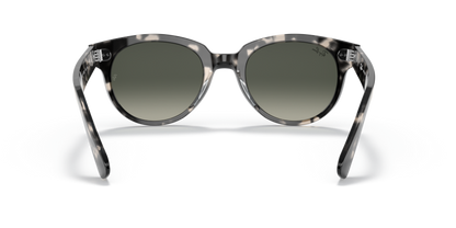 Grey Havana - 0RB2199 8056597461610