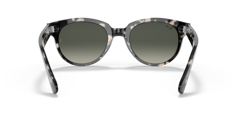 Grey Havana - 0RB2199 8056597461610