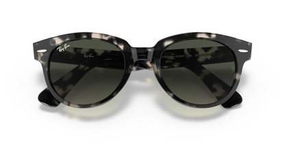 Grey Havana - 0RB2199 8056597461610