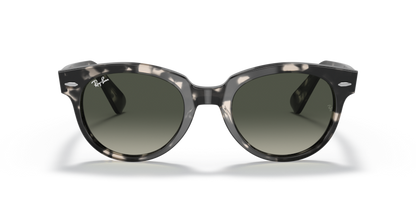 Grey Havana - 0RB2199 8056597461610