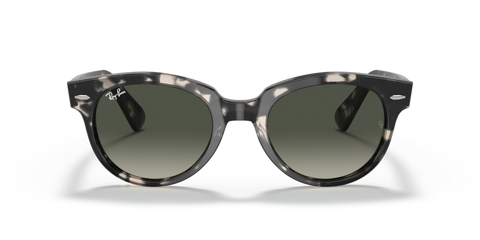 Grey Havana - 0RB2199 8056597461610