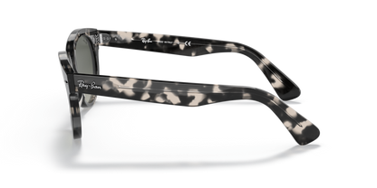 Grey Havana - 0RB2199 8056597461610