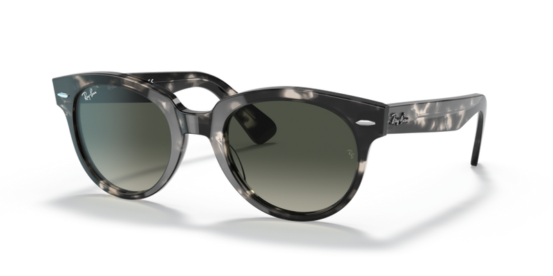 Grey Havana - 0RB2199 8056597461610