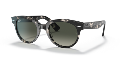 Grey Havana - 0RB2199 8056597461610