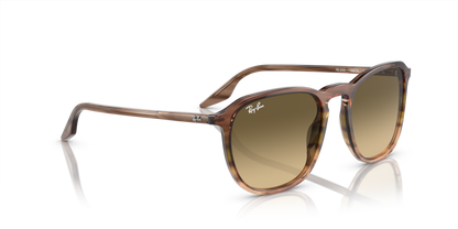 Striped Brown & Green - 0RB2203 8056597936378