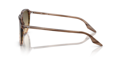 Striped Brown & Green - 0RB2203 8056597936378