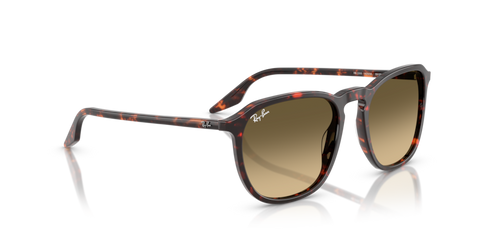 Havana Red Tortoiseshell - 0RB2203 8056262474273