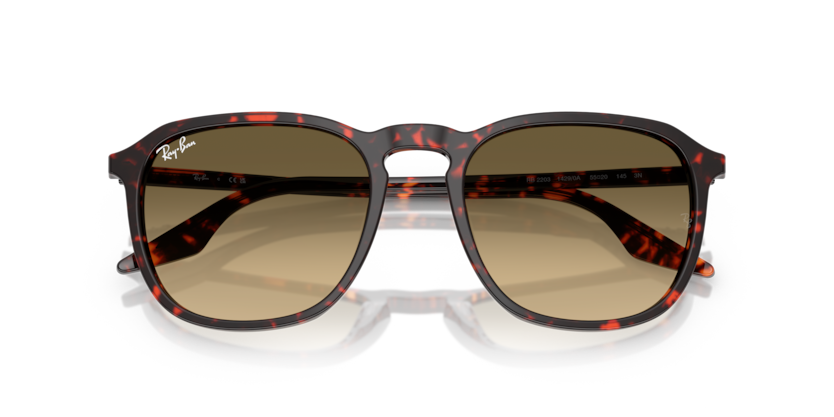 Havana Red Tortoiseshell - 0RB2203 8056262474273