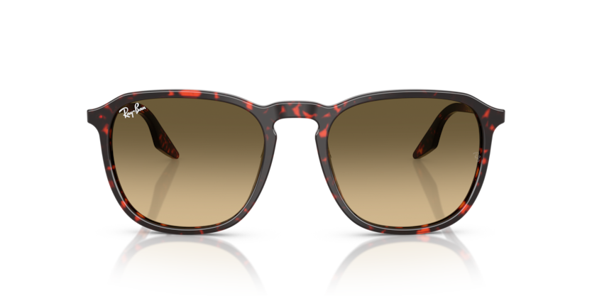 Havana Red Tortoiseshell - 0RB2203 8056262474273