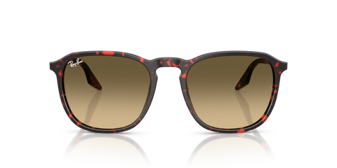 Havana Red Tortoiseshell - 0RB2203 8056262474273