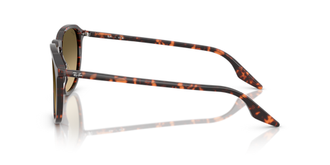 Havana Red Tortoiseshell - 0RB2203 8056262474273