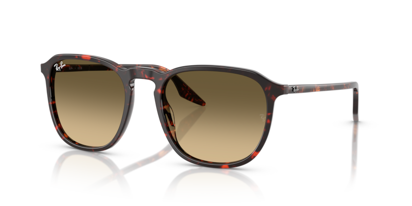 Havana Red Tortoiseshell - 0RB2203 8056262474273