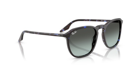 Havana Blue Tortoiseshell - 0RB2203 8056262474297