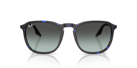 Havana Blue Tortoiseshell - 0RB2203 8056262474297