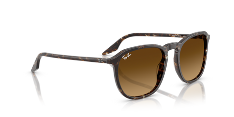 Havana Yellow Tortoiseshell - 0RB2203 8056262474310