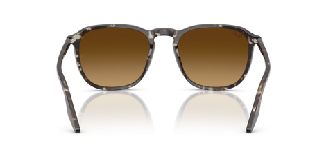 Havana Yellow Tortoiseshell - 0RB2203 8056262474310