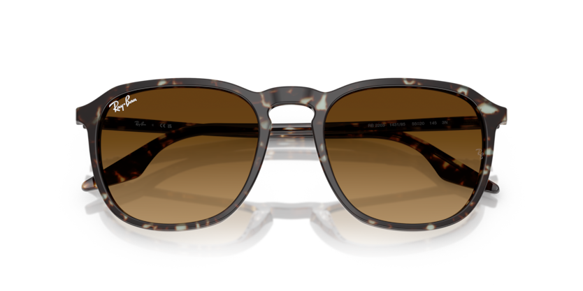 Havana Yellow Tortoiseshell - 0RB2203 8056262474310