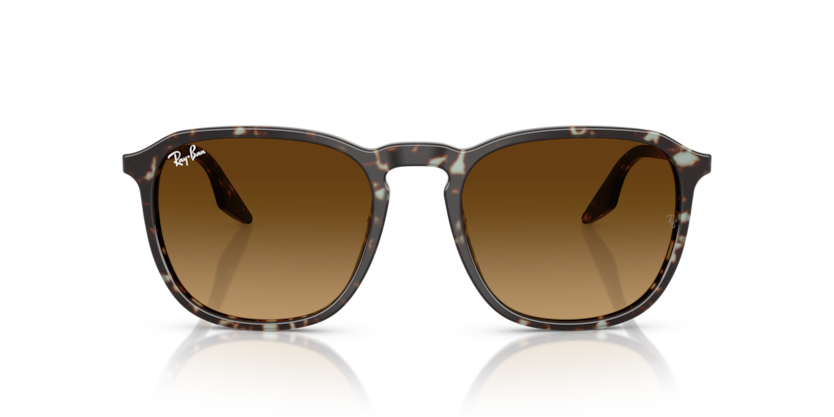 Havana Yellow Tortoiseshell - 0RB2203 8056262474310