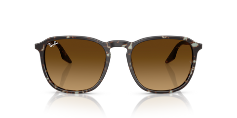 Havana Yellow Tortoiseshell - 0RB2203 8056262474310