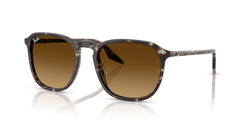 Havana Yellow Tortoiseshell - 0RB2203 8056262474310