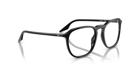 Black - 0RB2203 8056597952330 Ray-Ban Sunglasses Unisex Square