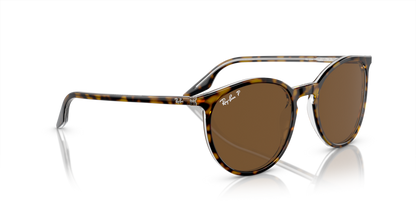 Havana On Transparent - 0RB2204 8056597936392